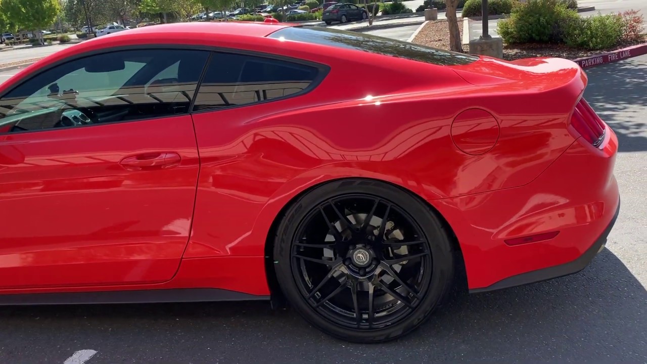 Eibach Sportline lowering springs on 2015+ mustang with 305 tires. Is it a good idea?
