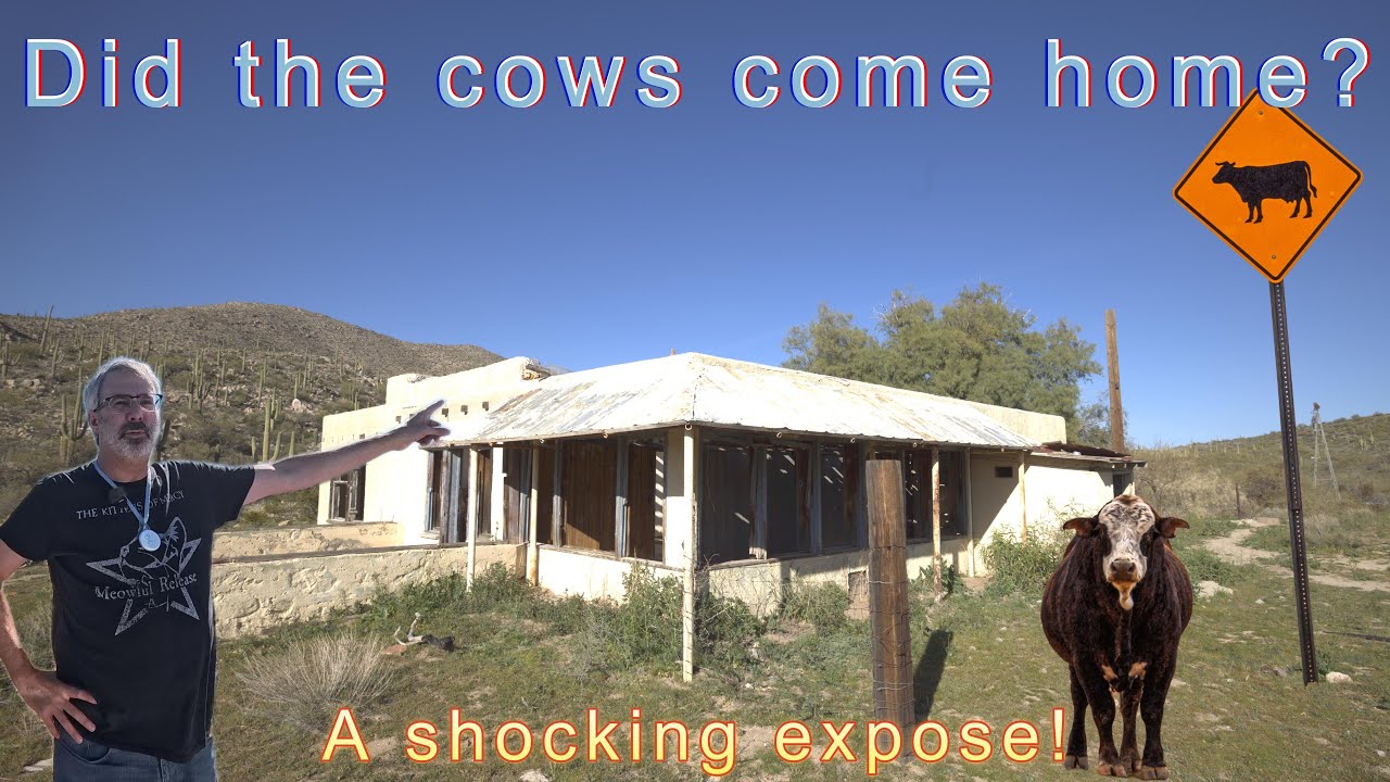 Ranch Style | Chance Points E17 | Robot Impurity Photography