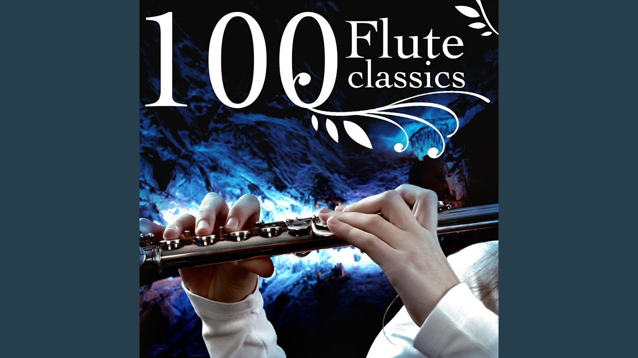 Flute Sonata In D, Wq 129 - Allegro