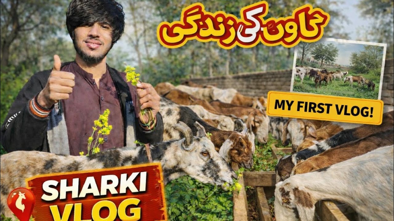 My First Vlog #vlogvideo 