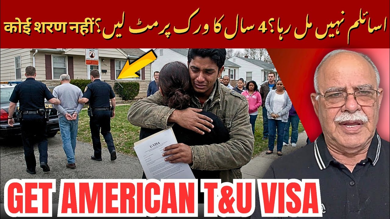 American T and U visa