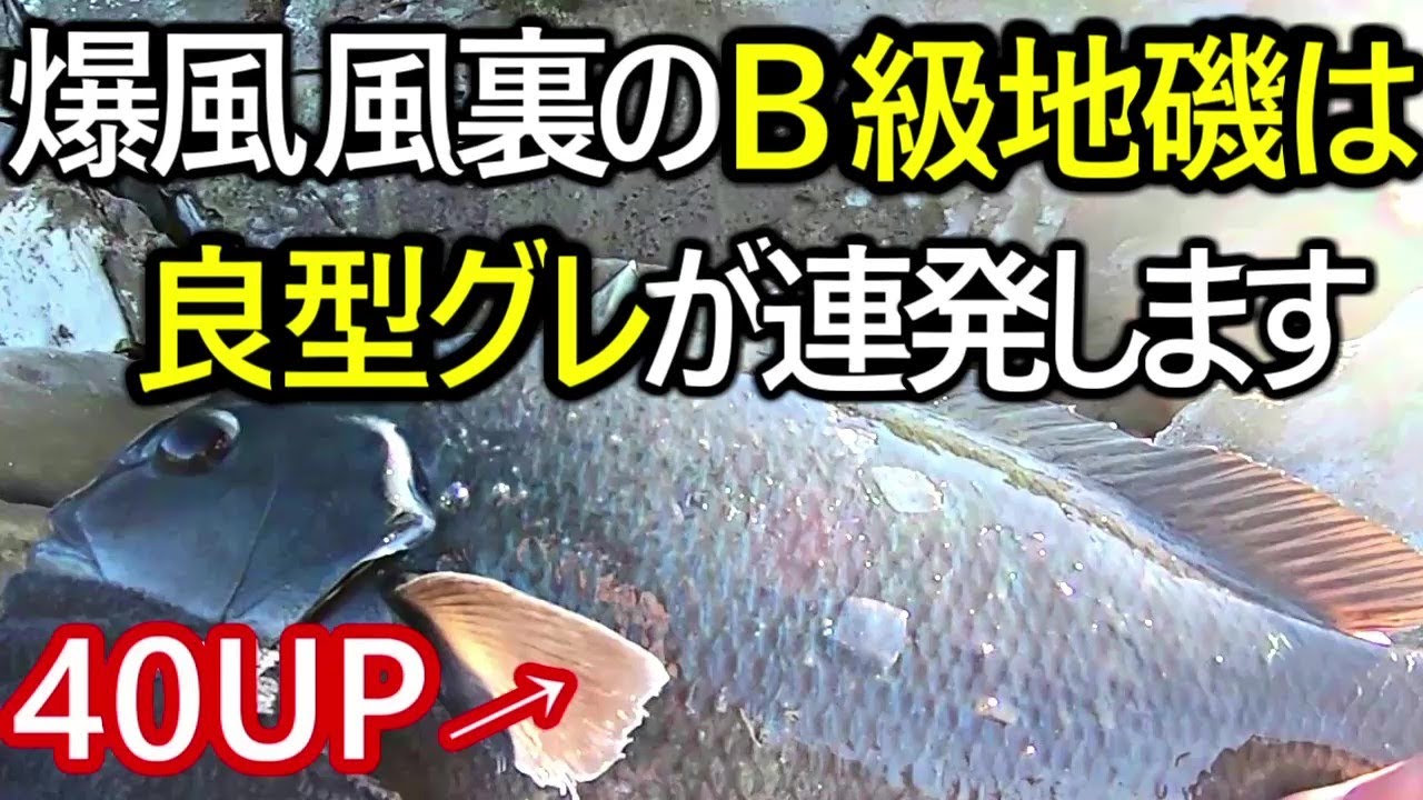 和歌山のフカセ釣り 寒グレが連発する風裏Ｂ級地磯