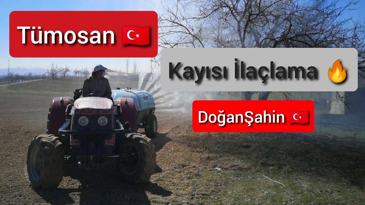 #tumosan #dogansahin Kayısı İlaçlama ( apricot spraying )