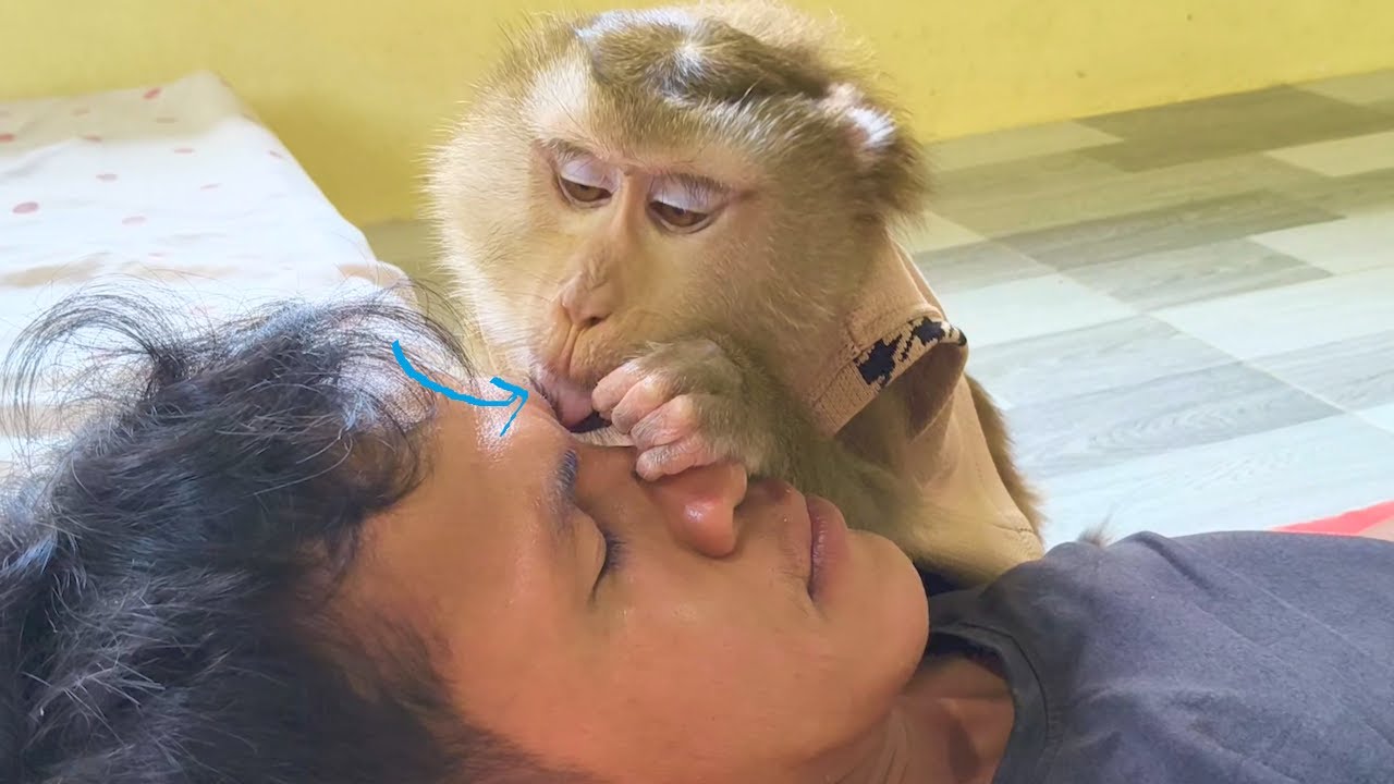 Dr. LYLY Grooming Techniques Have Gained Recognition; Fan Appreciate Artistry Attention She Provides