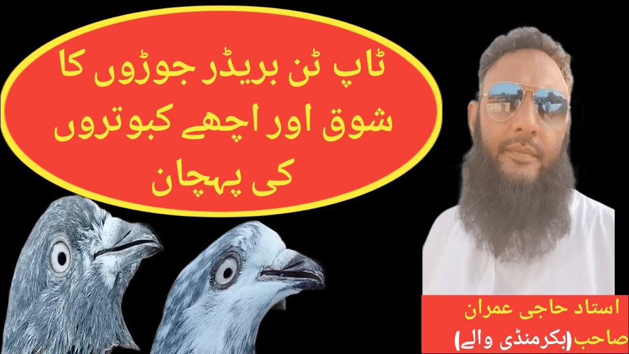 Parwazi Kabobutar Ke Pechaan Or Par Kundha Kaisa Ho|Top Ten Pigeon Breeder Pair Ka Shok Kare