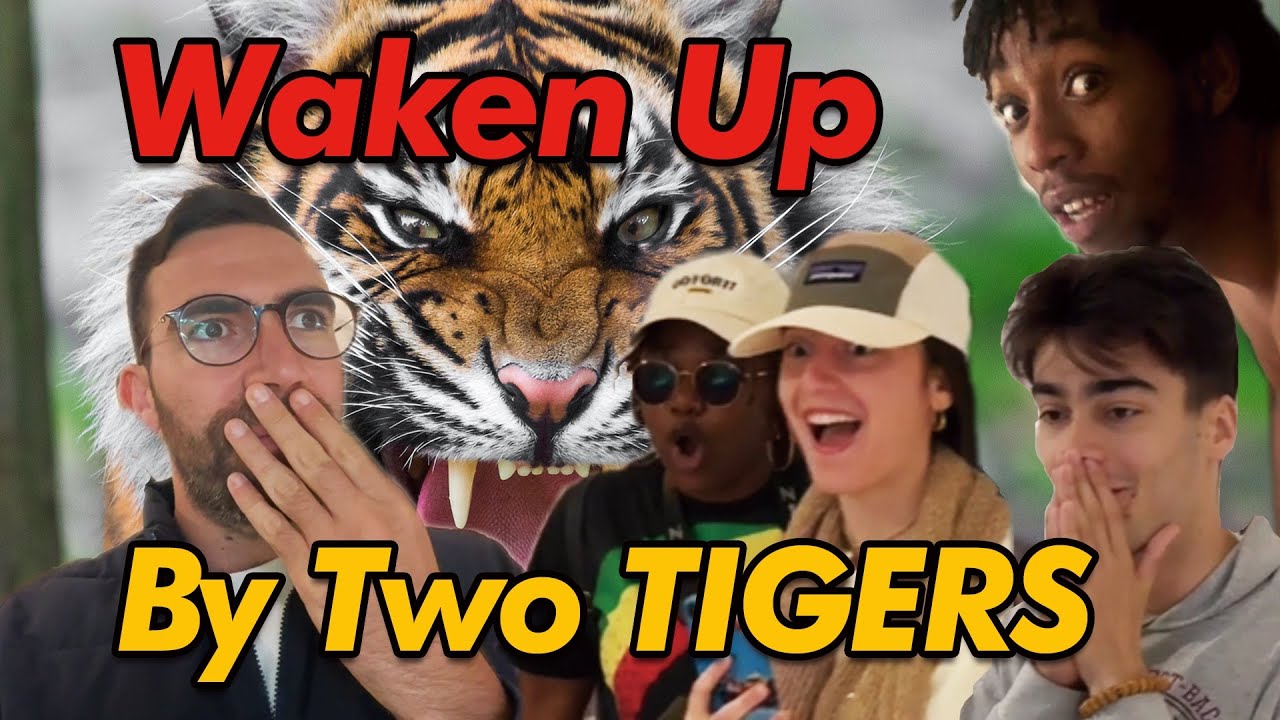 I Took Students on a Free Trip to Nantong - and Found a TIGER in Our Room?!