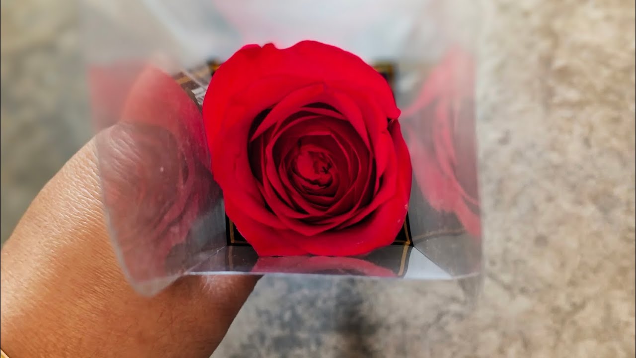 Happy Valentine's Day 
