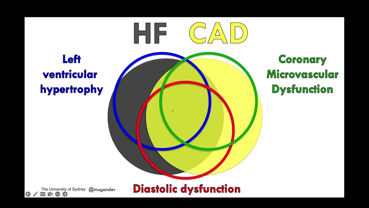 Coronary microvascular dysfunction - PET, SPECT, CMR, Echo - by Prof Martin Ugander, 19 Oct 2022