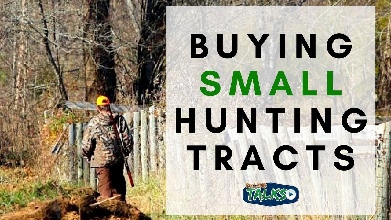 Reasons to Buy Small Hunting Land Tracts