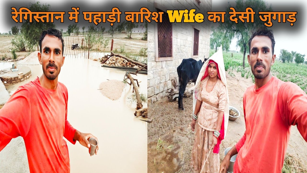 पहाड़ों वाली वर्षा इन रेगिस्तान में || हलवा बना दे | village lifestyle vlog, village cooking 