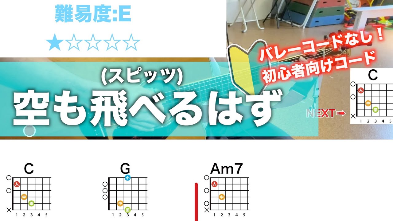 空も飛べるはず/スピッツ-初心者向け簡単ギターコード