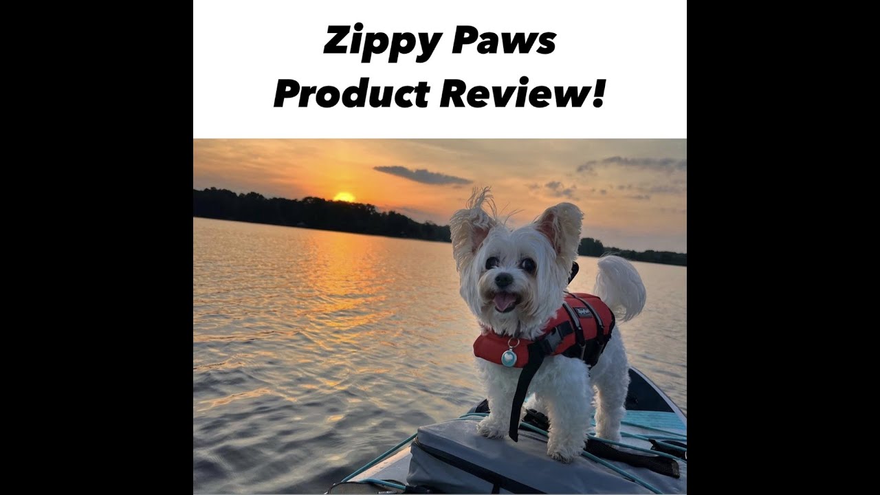 In Hand Review of ZippyPaws - Adventure Dog Life Jacket Vest