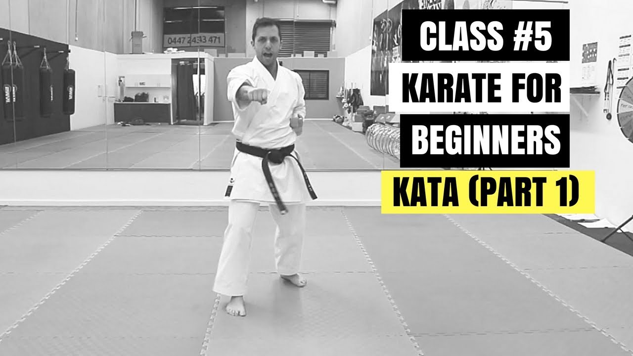 Martial Arts for Beginners – Lesson 5 / Basic Karate Cobra Kai - KATA MOVES (Part #1)