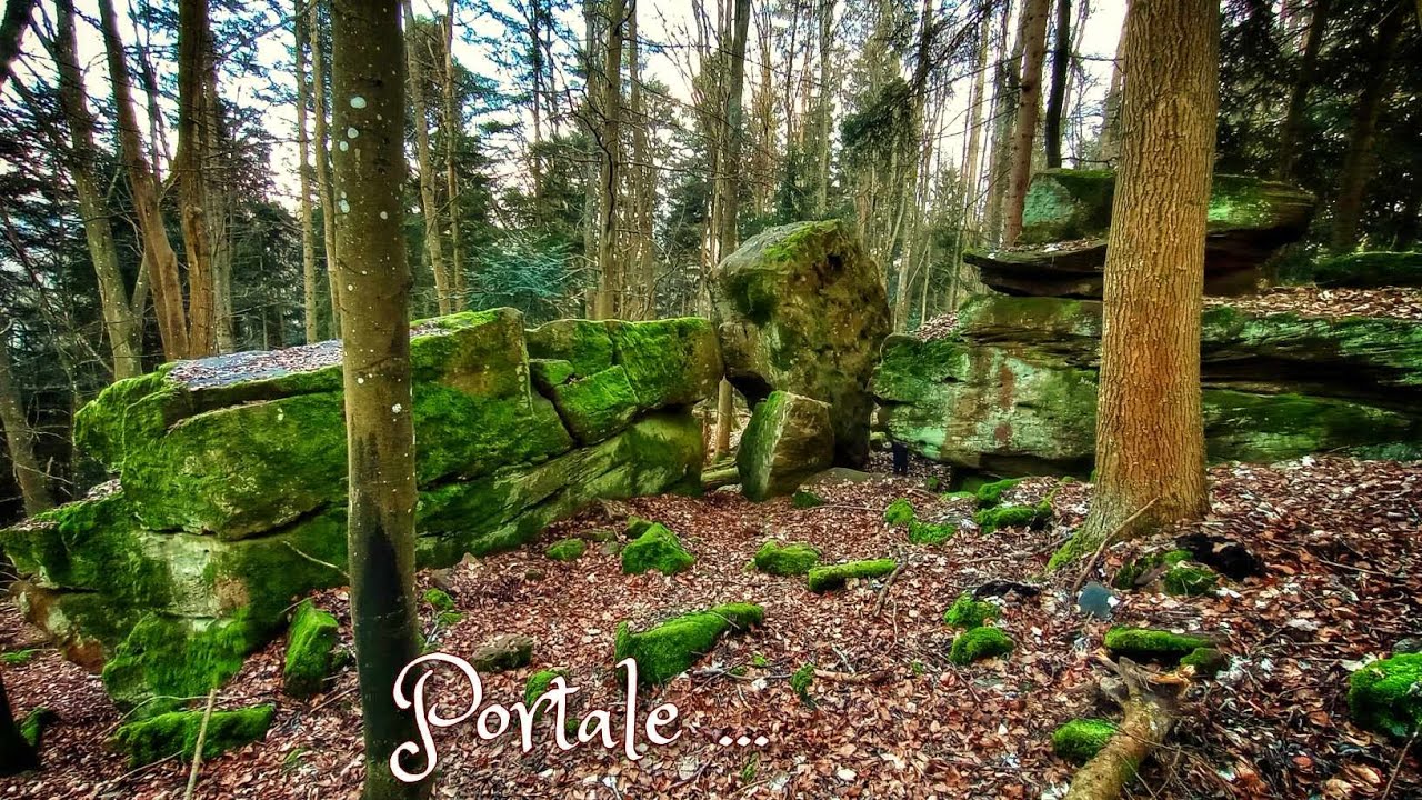 Magischer Nordschwarzwald, Megalithbauwerke und Götterkriege, Menhire und Felssturzgebiete 🗿🪨🌲