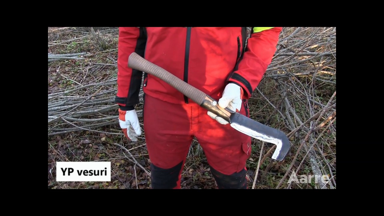 Aarre 2016 | Vesurit pieneen perkaukseen
