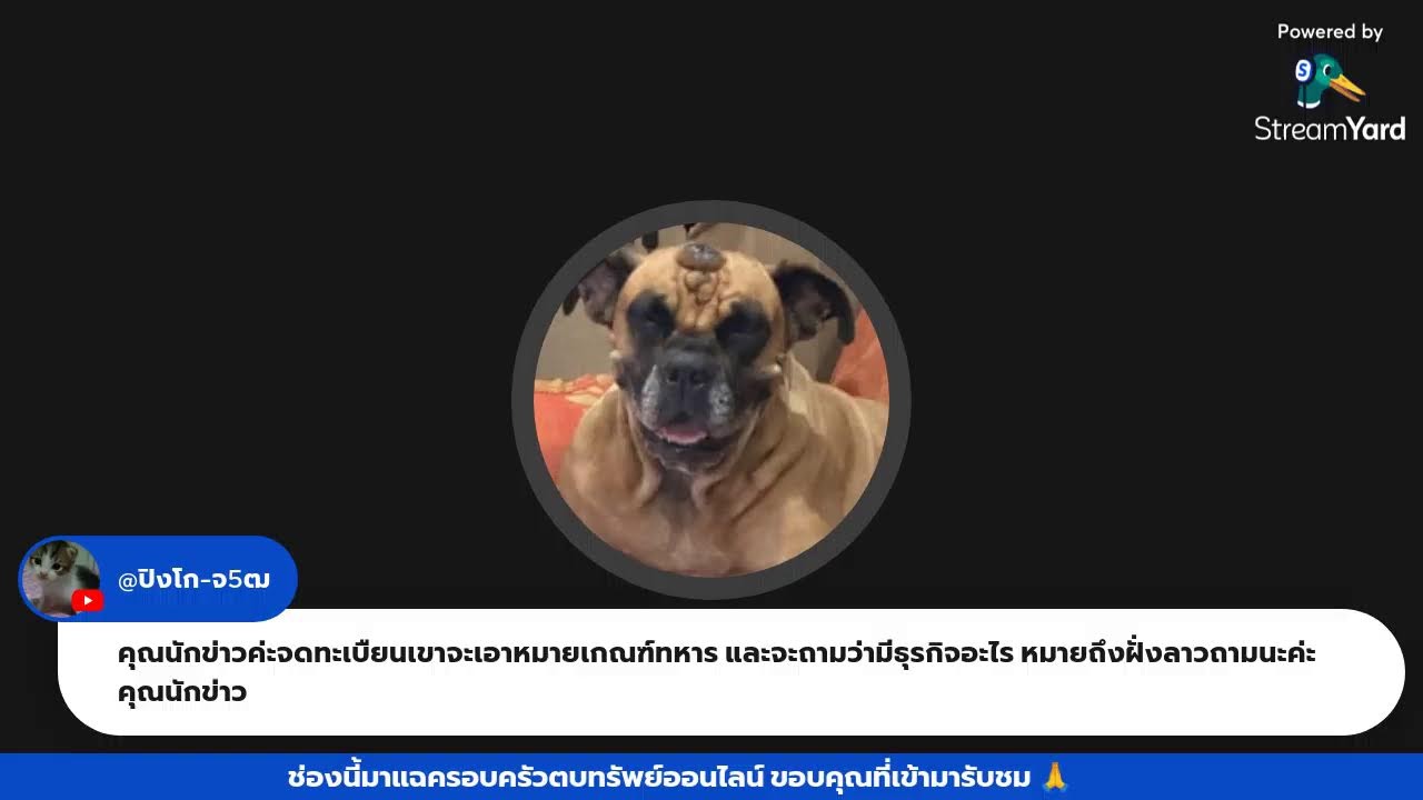 มีเรื่องมาเล่าสู่ฟัง 🐸🦧