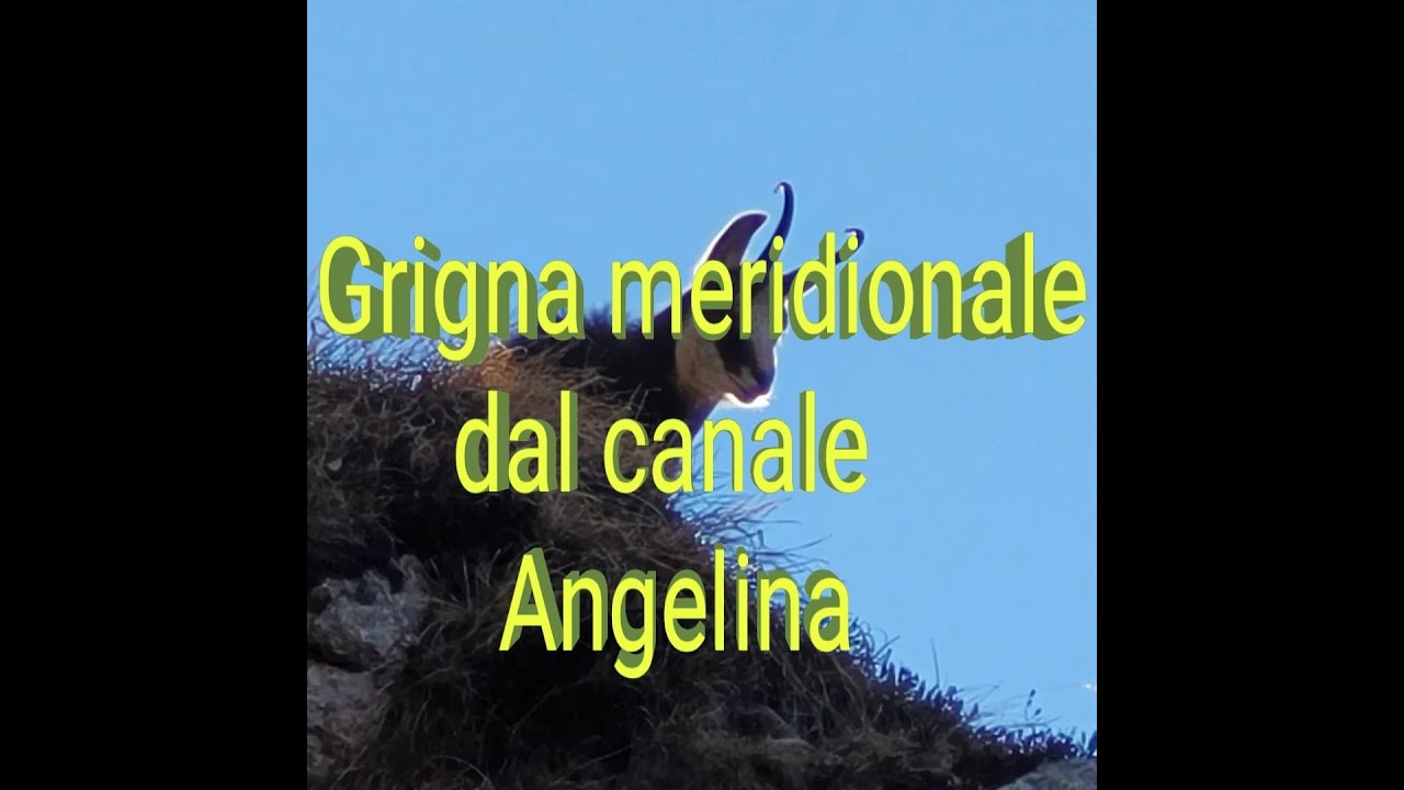 Grigna meridionale dal canale Angelina