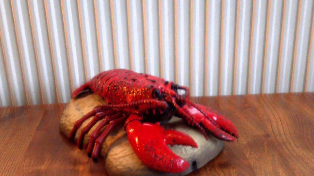 Rocky the Singing Lobster