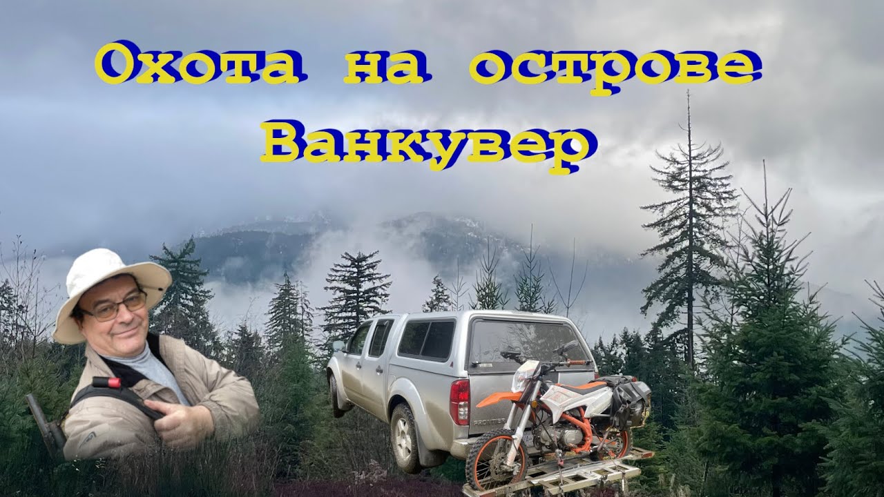 Охота на острове Ванкувер, Ноябрь 2025