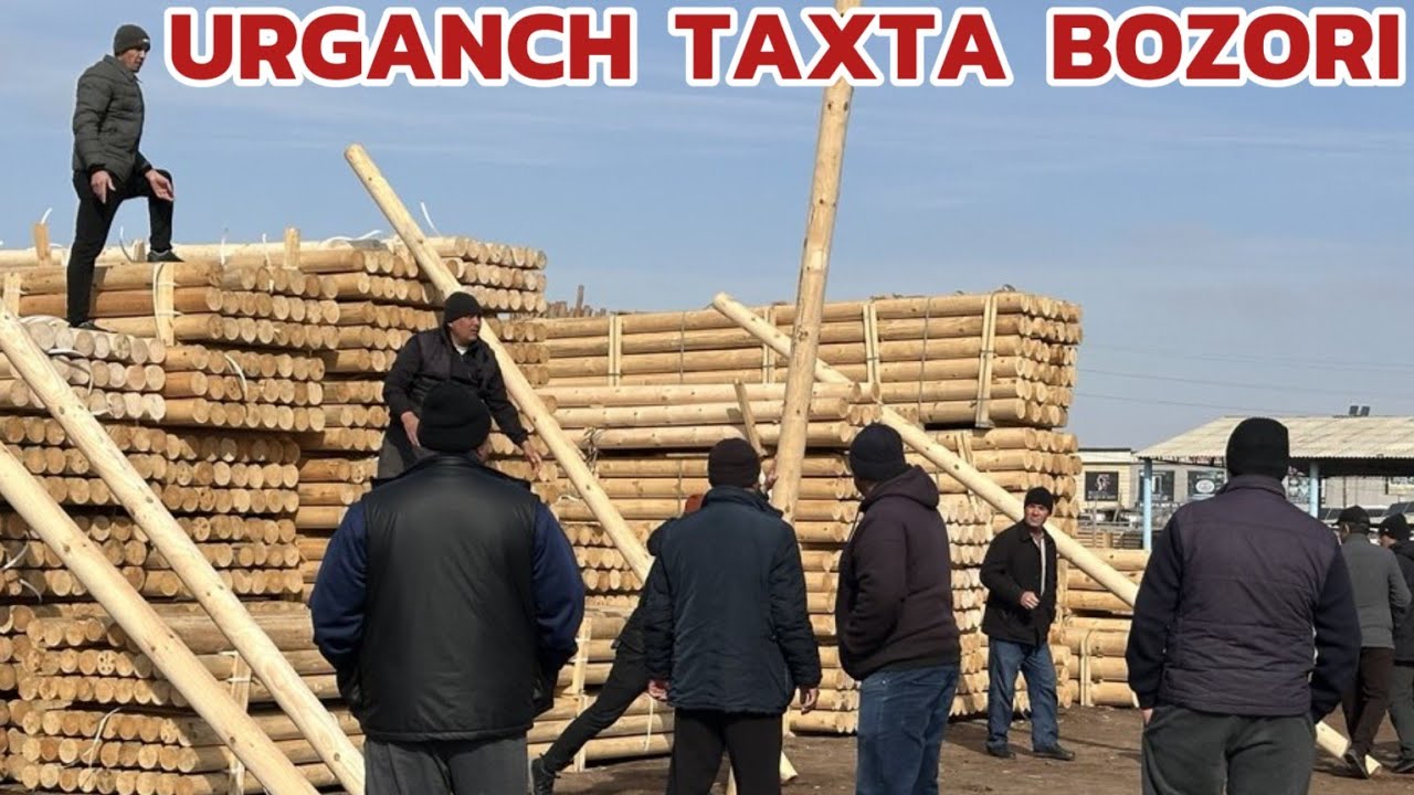 URGANCH TAXTA BOZOR 🔥 TAXTA FABER DSP YOG'OCH VA ISHLATILGAN 5-9 METRLIK YOG'OCH NARXLARI