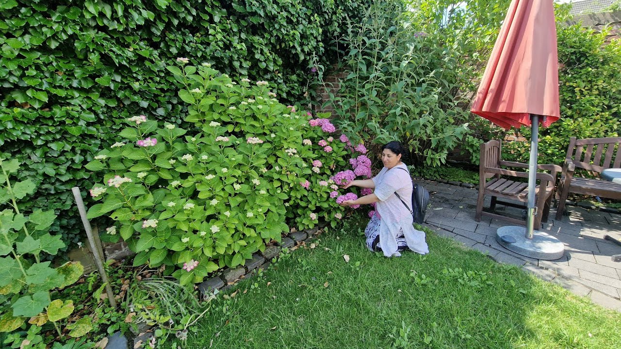 ERINNERUNG AN DIE HEIMAT..||RÜHRENDE GESCHICHTE VON MERYEMSKÜCHE ❤️😍😪#youtube