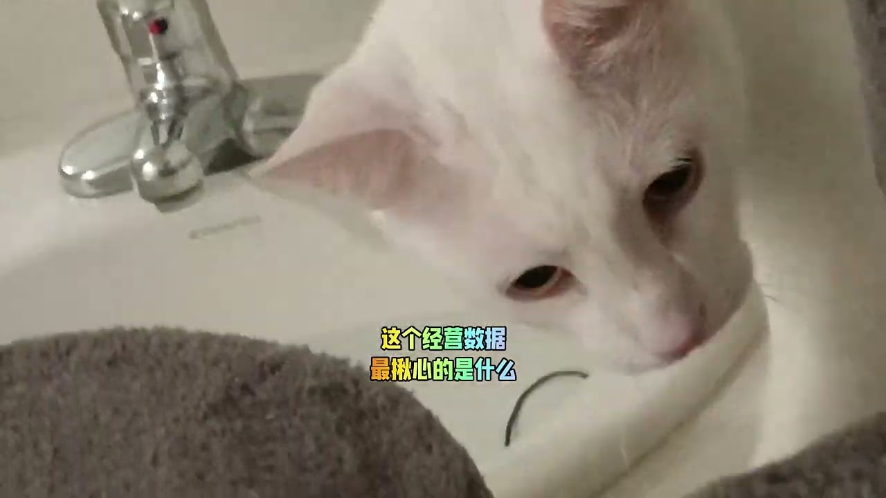 有人说 国内人生活的越来越艰苦？ 真的假的？？