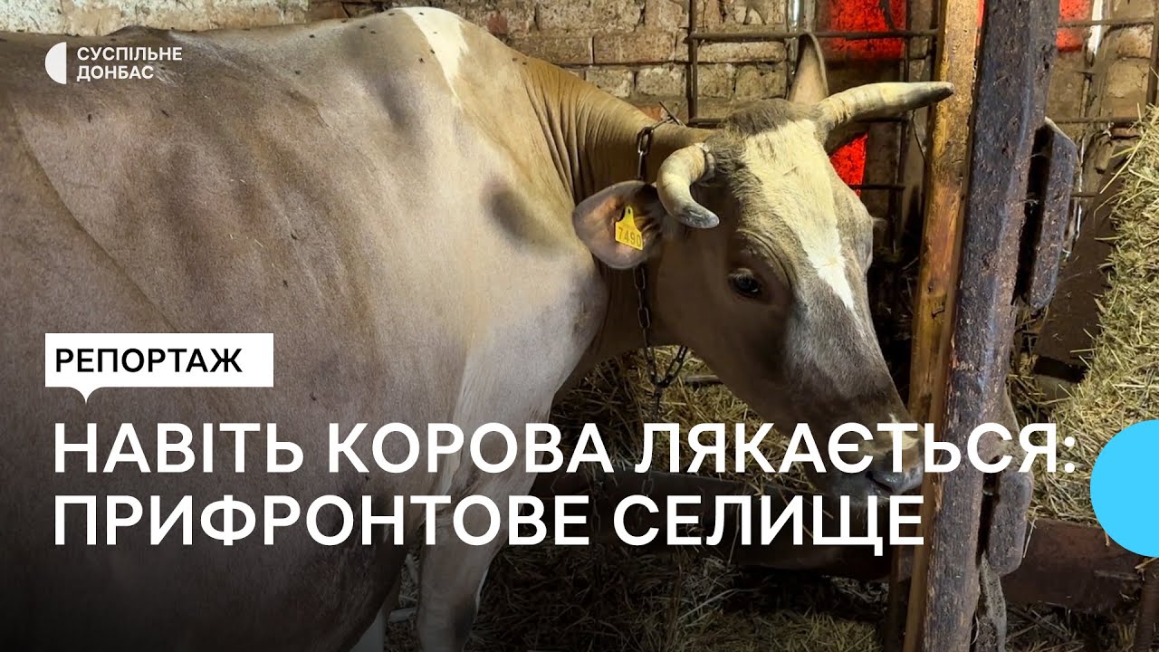 Навіть корова лякається. Як живуть та готуються до зими у прифронтовому селищі на Донеччині
