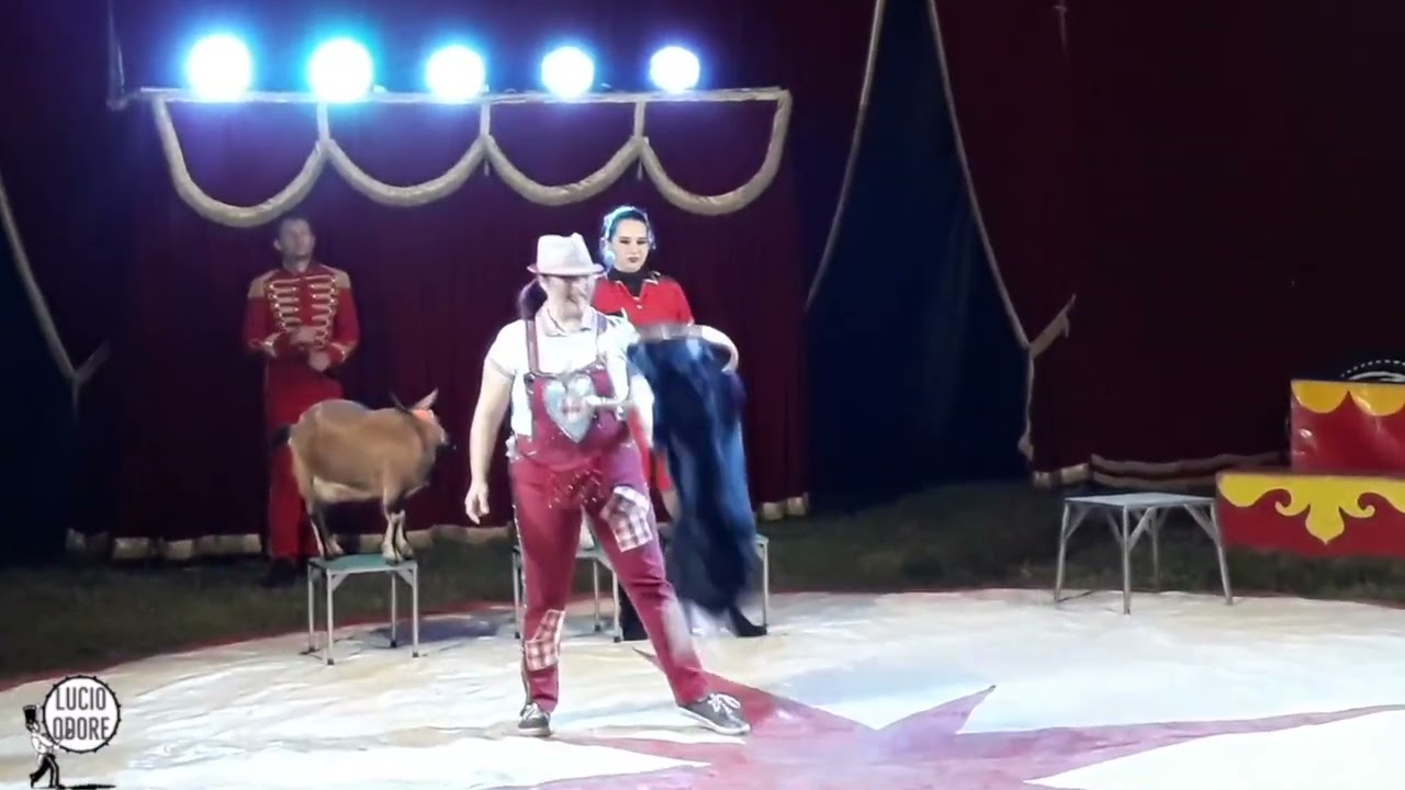 Circo Braum a Casamarciano, 5 febbraio 2022