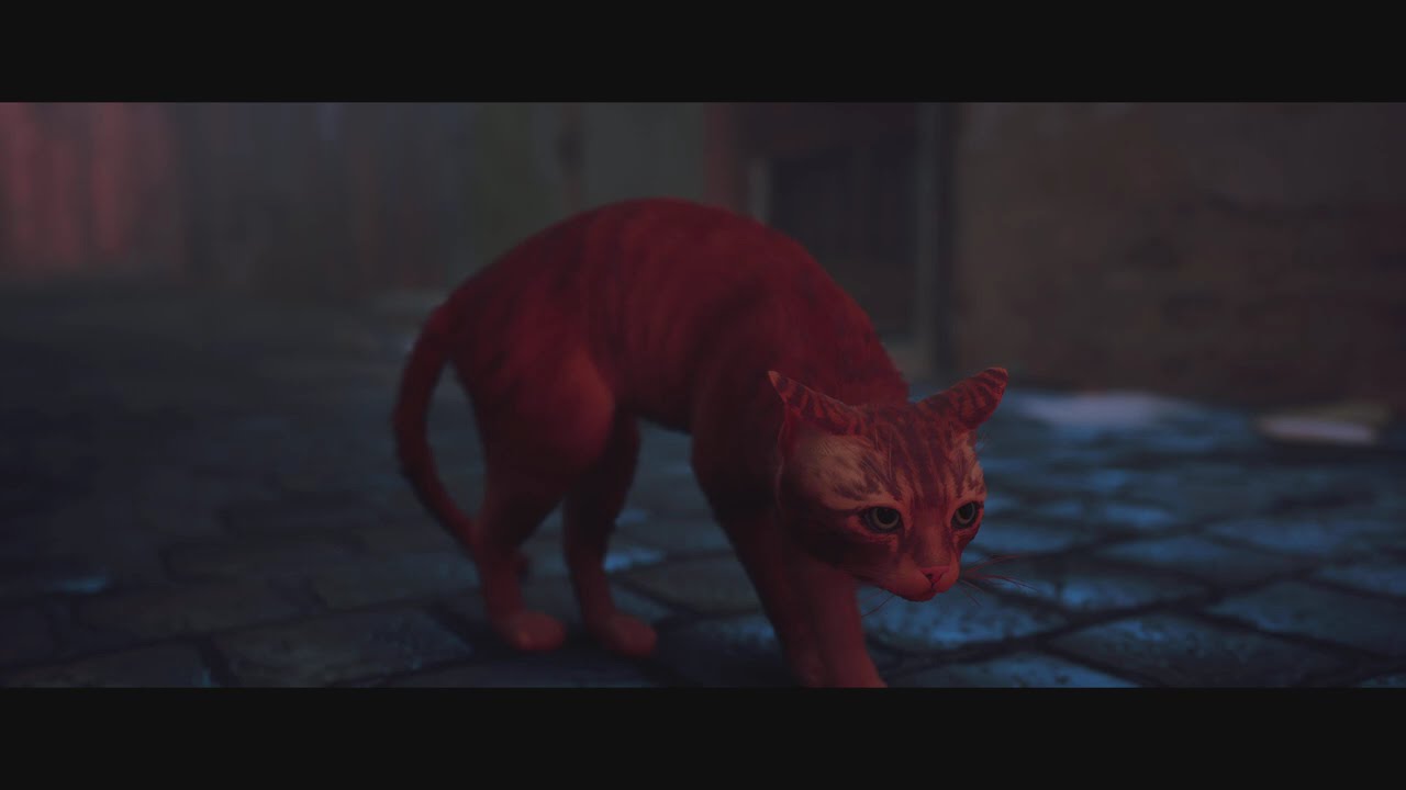 Most Wholesome Game Ever Created (STRAY)