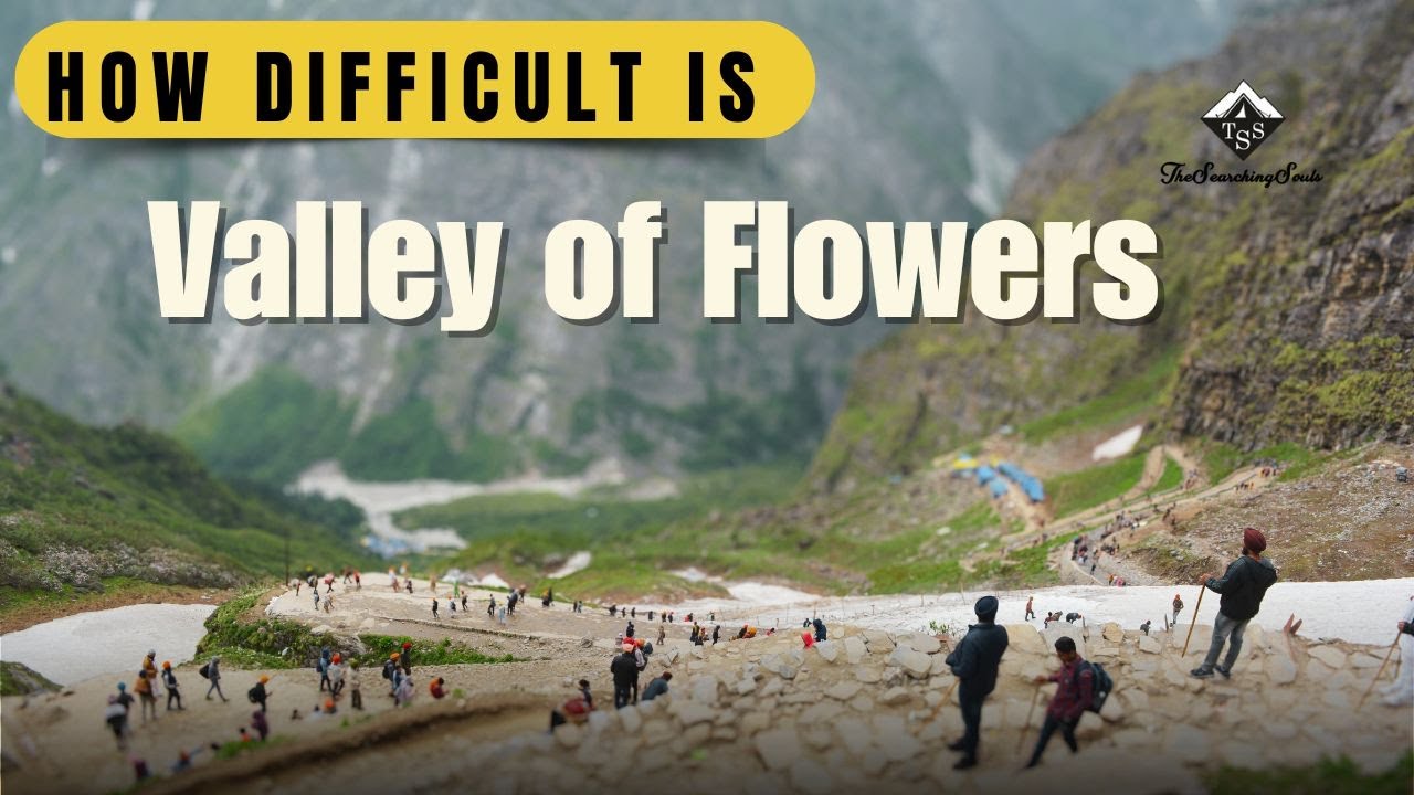 How Difficult is The Valley Of Flowers | Valley Of Flowers | Trek Difficulty