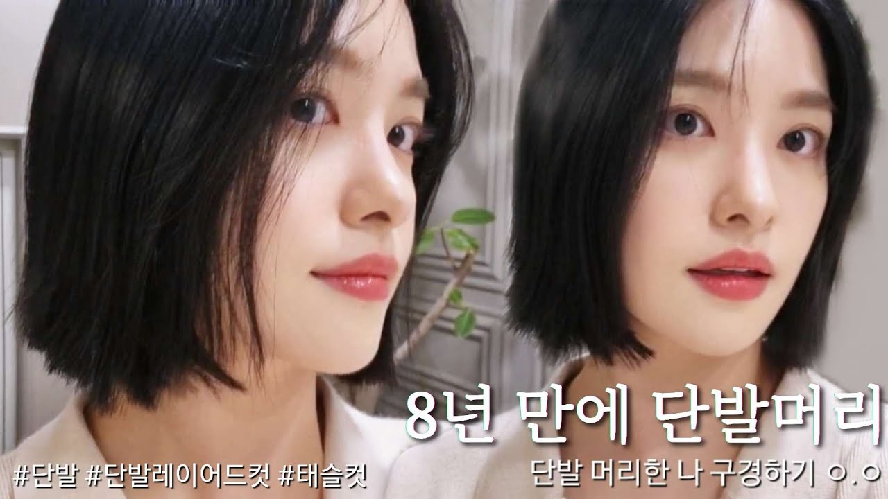 8년 만에 단발 레이어드컷으로 확 잘랐습니다✂️ Vlog