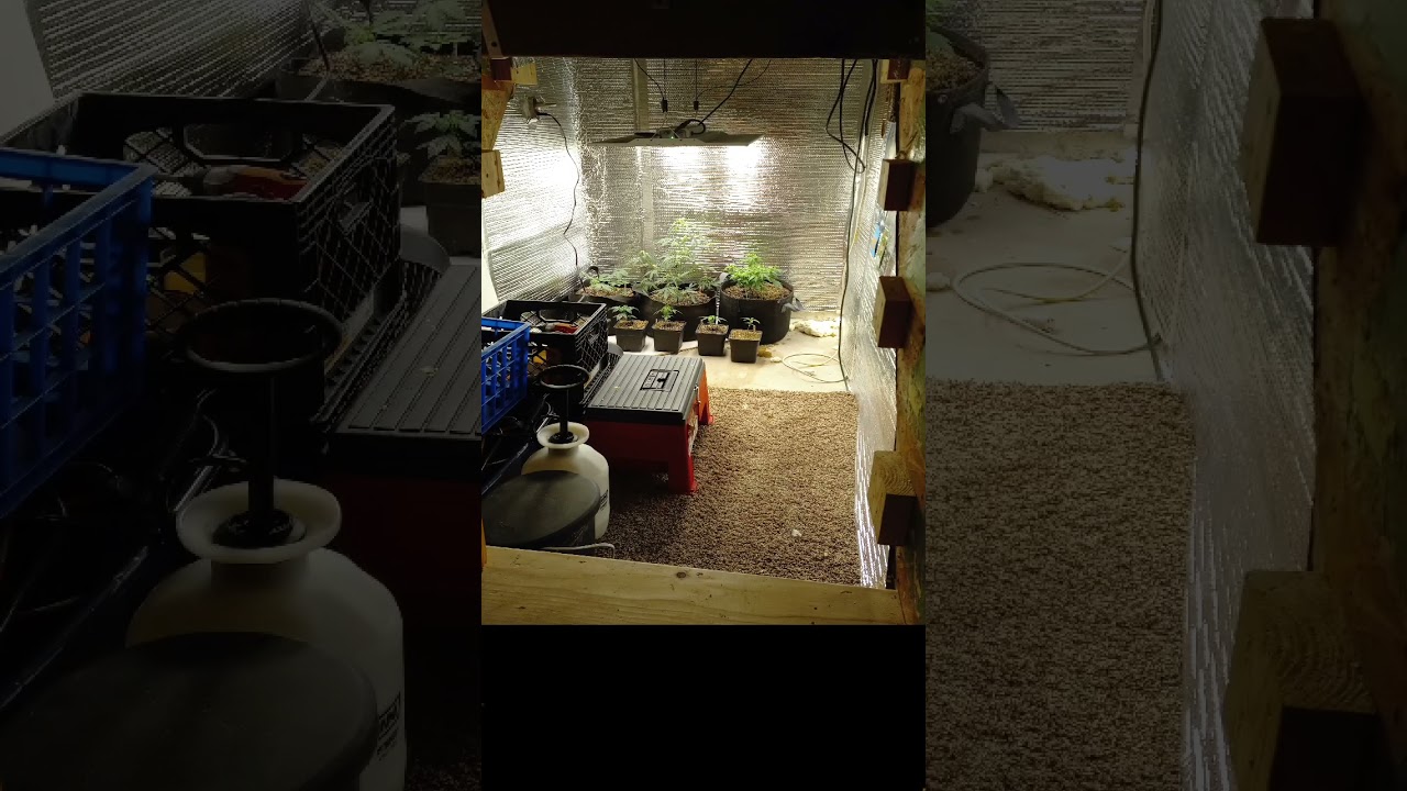 Hidden door to grow room #420  #cannabisdaily #secretdoor #growroom #trapdoor