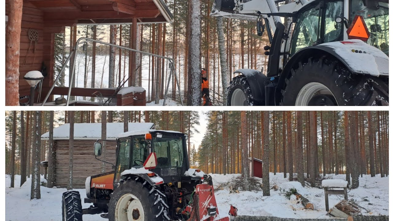Pihapuita mökiltä sekä juontohommia Valmet 665