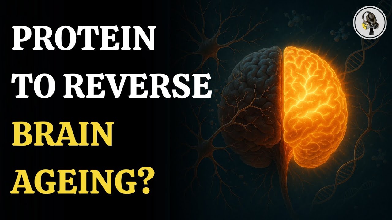 Brain Ageing Could Be Reversed by New Protein Discovery | WION Podcast