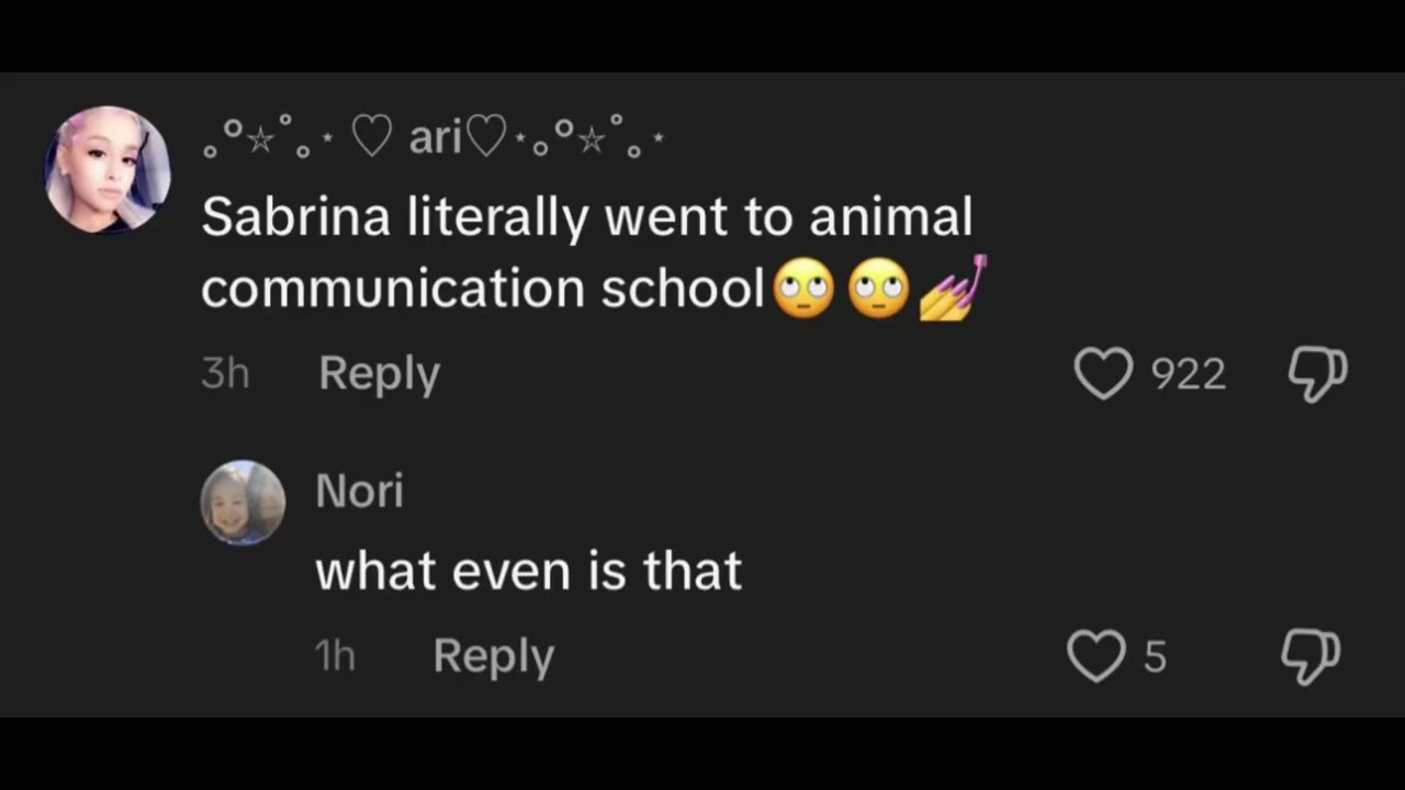 voicing over posts 10