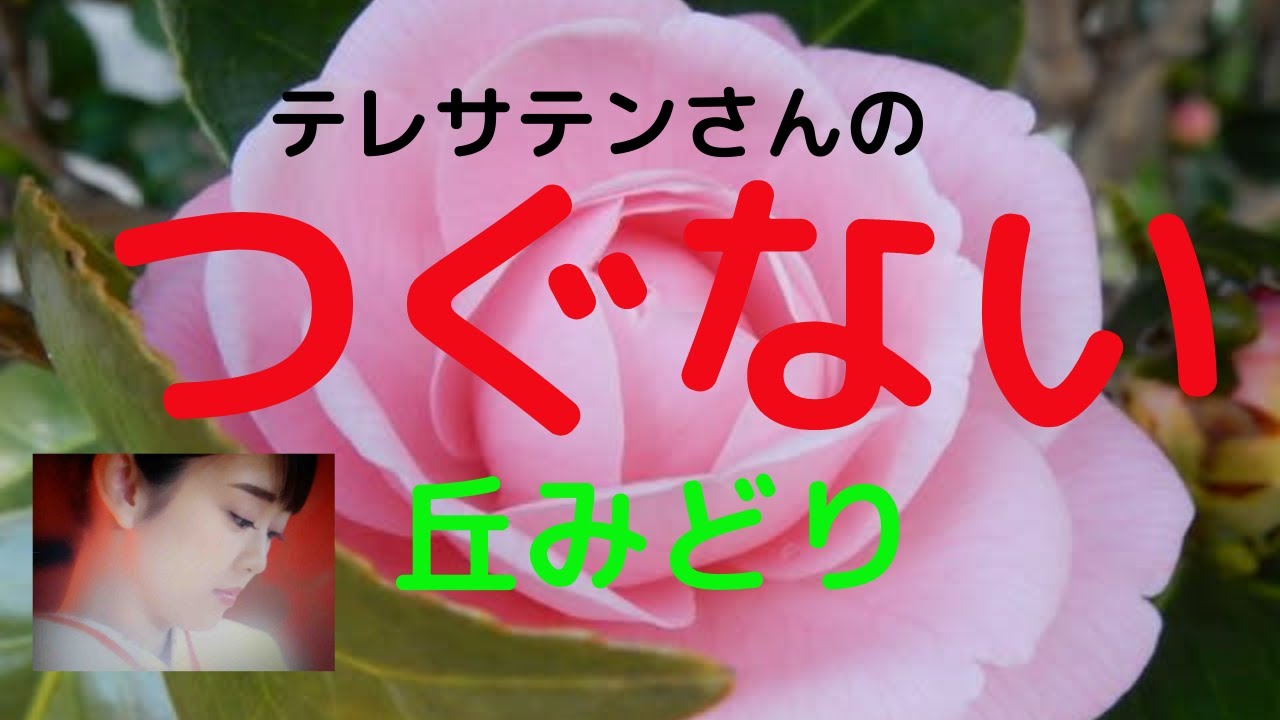 つぐない 　丘みどり　1984年発売テレサテン（みどりの誕生と同じ）
