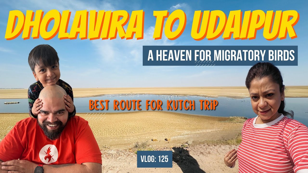 Dholavira to Udaipur | Best Route for Kutch Trip | Heaven for Migratory birds