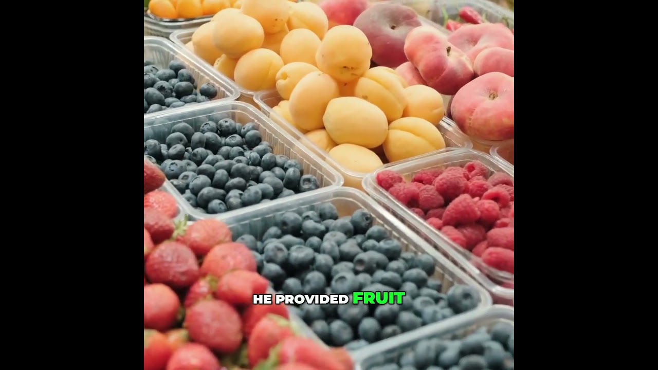 Original Diet  Creator's Guide to Optimal Human Nutrition