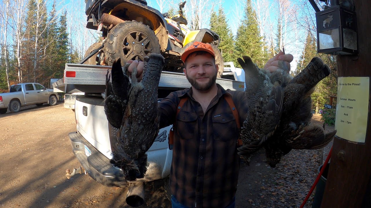 Gunflint trail grouse hunting! (Northern MN)