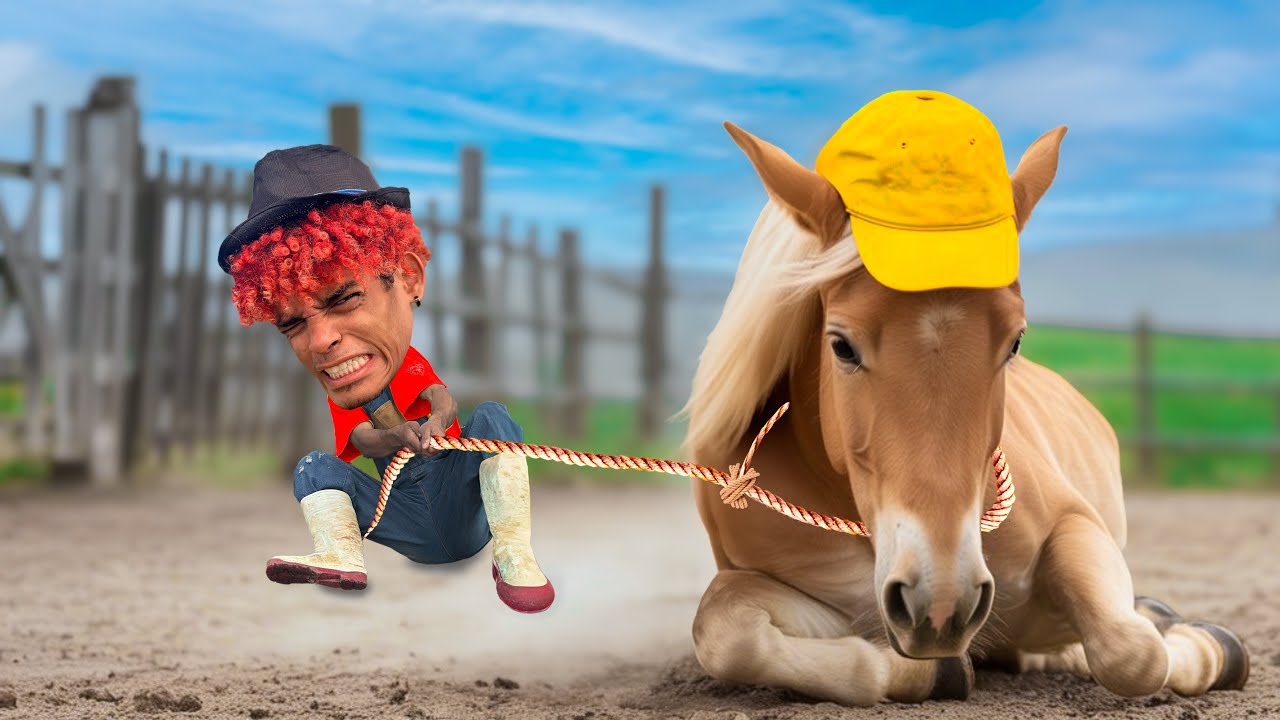 MI PRIMER DÍA ENTRENANDO A MI CABALLO 🐴❤️ 