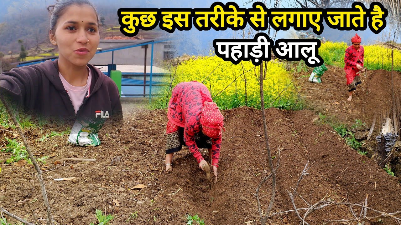 मेहमानों के जाने से पूरा घर हो गया सुनसान || pahadi lifestyle vlog || sadhna Gairola vlogs ||