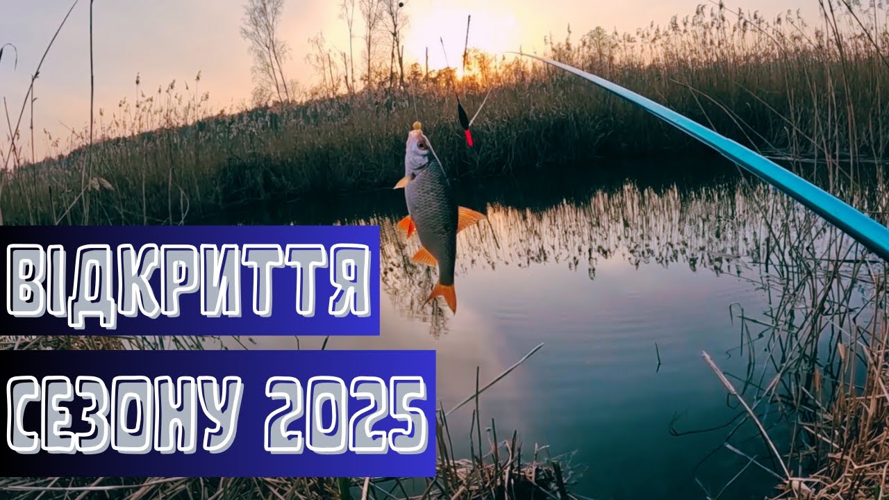 Рибалка в Польщі. річ.Welnianka кішить рибою!!!Відкриття сезону 2025 весна