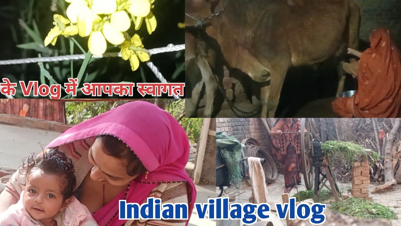Indian women daily life vlogs🌸Cow Milking  // Village Life Vlog 🔥गाय का दूध हाथ से निकालने का वीडियो