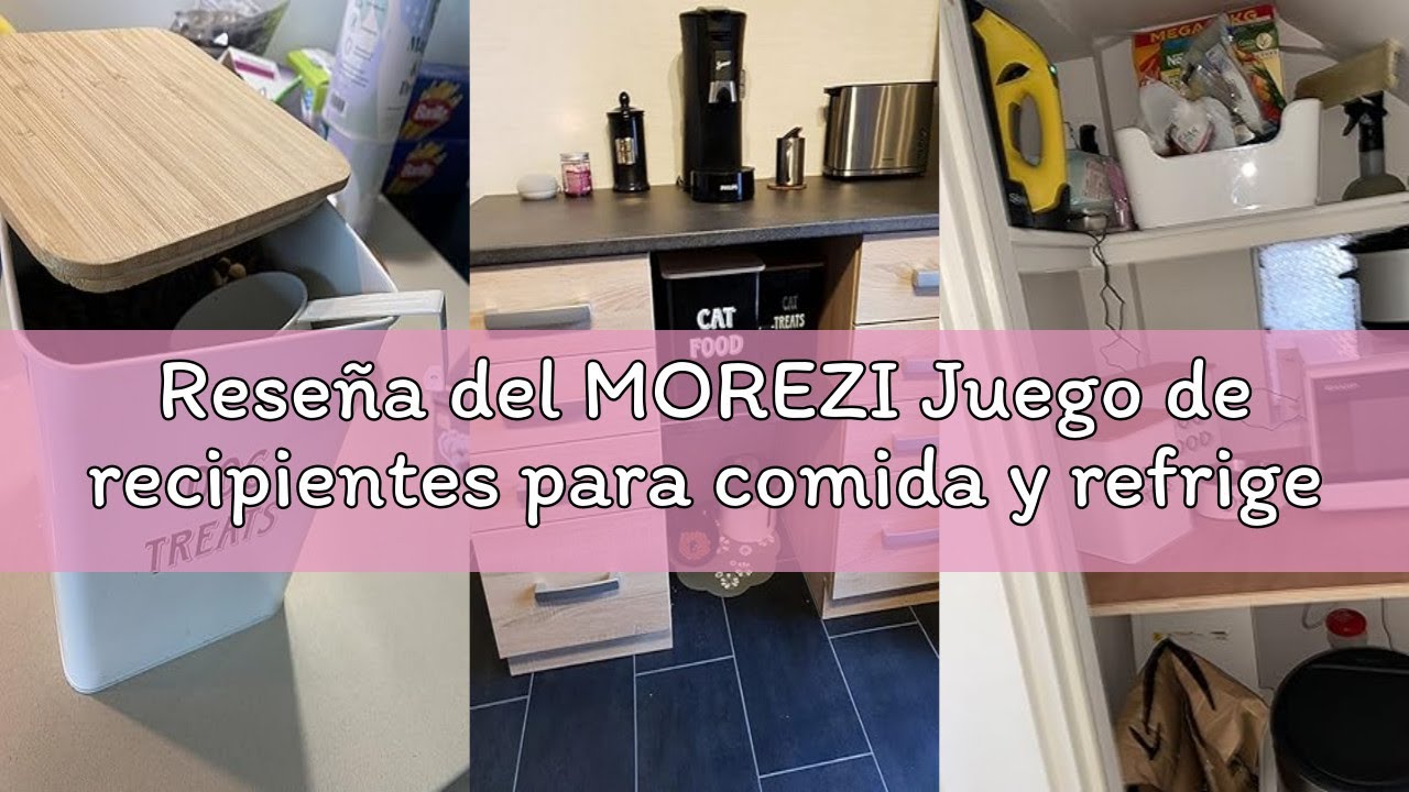 Reseña del MOREZI Juego de recipientes para comida y refrigerios para mascotas con tapa y cuchara, t