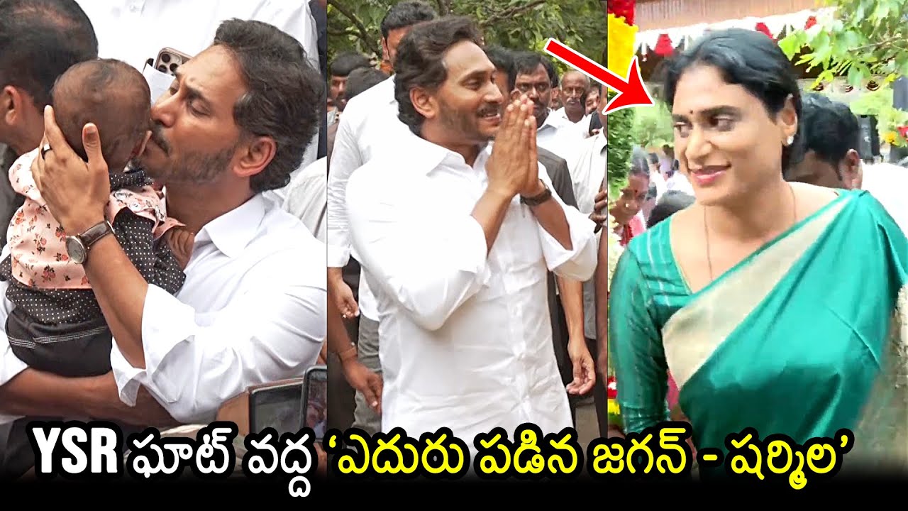 YS Sharmila Reaction Towards YS Jagan At YSR Ghat | YS Sharmila Latest Video | News Buzz