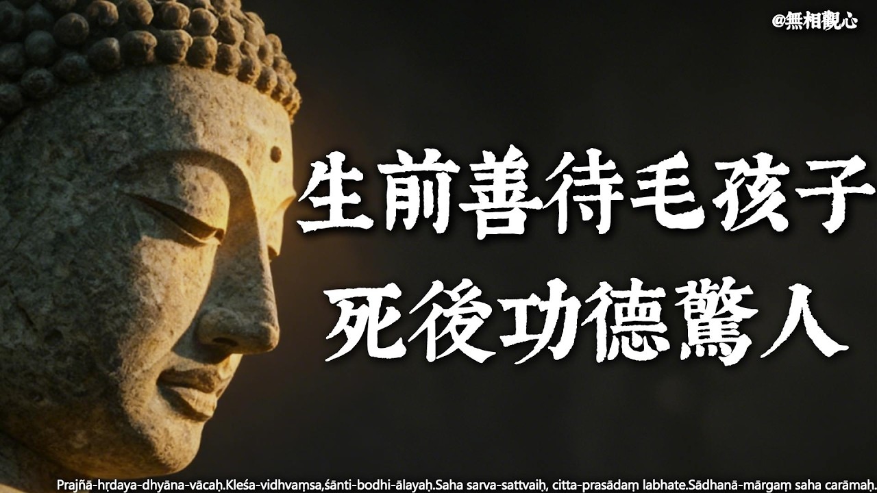 生前養貓狗，死後究竟會有什麼因果？佛陀揭秘輪回真相：你善待的每一個小生靈，都在為你的「來生」鋪路！