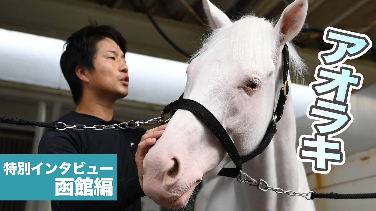 【緊急企画】魅惑の白毛馬・アオラキ　デビュー戦回顧＆現在の状態を担当に直撃取材！