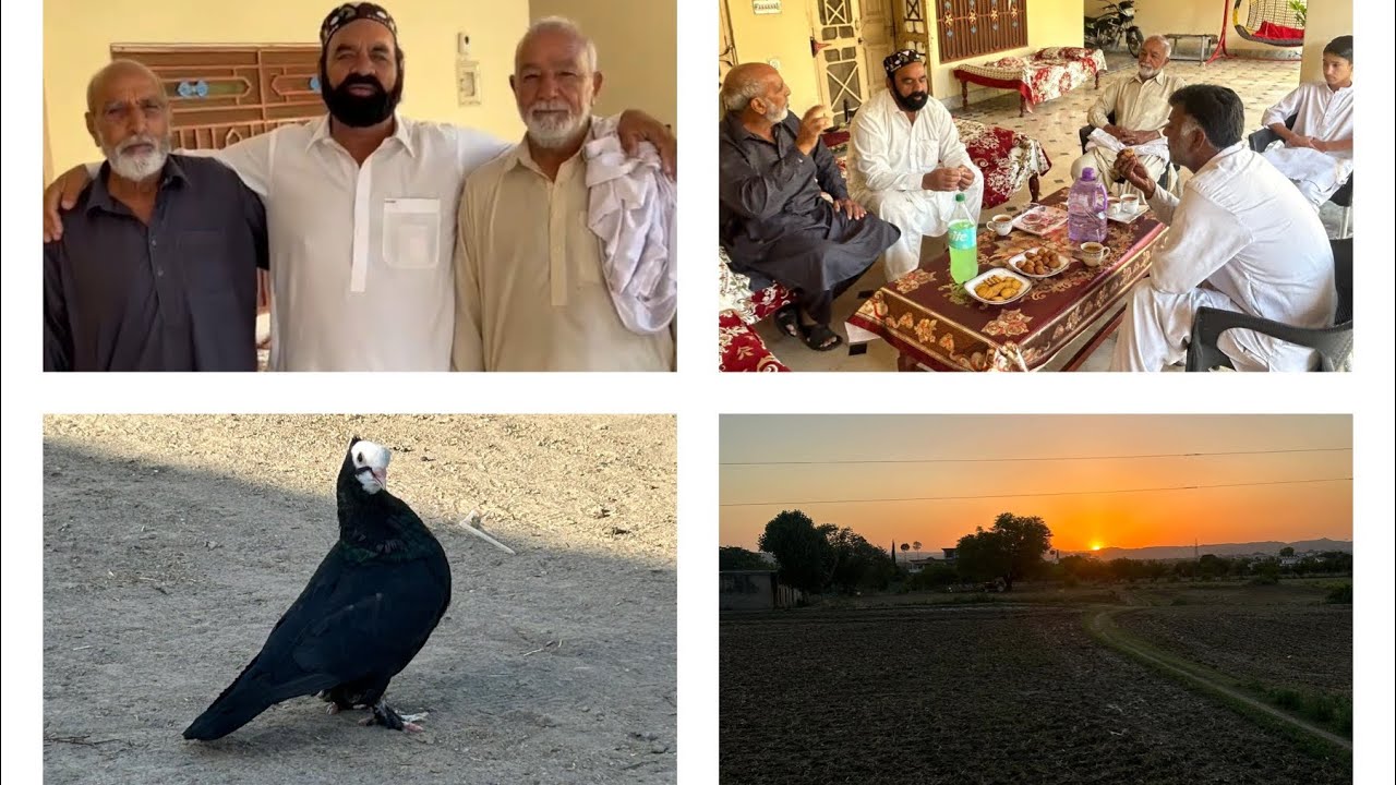 Daily Routine Vlog-My Cousin Peer Syed Abdul Rauf Shah-Dewan E Hazoori-came to Visit 