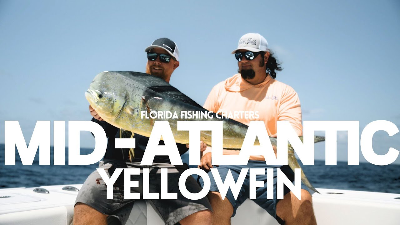 Zero-Dark Tuna Hunt: Captains Chase MONSTER YELLOWFIN in the Deep Atlantic