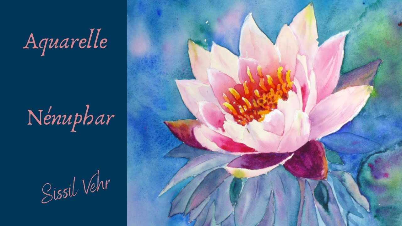 Aquarelle : Nénuphar